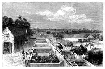 Fabricación de índigo en Tirhoot Muzaffarpur, Bajo Bengala, 1869 de Unbekannt