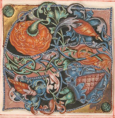 Iluminación de manuscrito con inicial S, de un libro de coro, siglo XVI de Unbekannt
