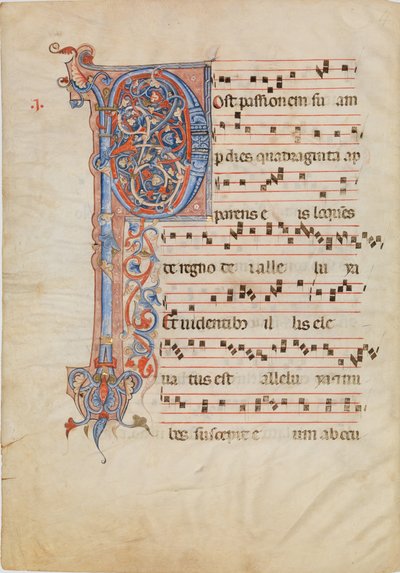 Hoja de Manuscrito con Inicial Foliada P, de un Antifonario, ca. 1250-60 de Unbekannt