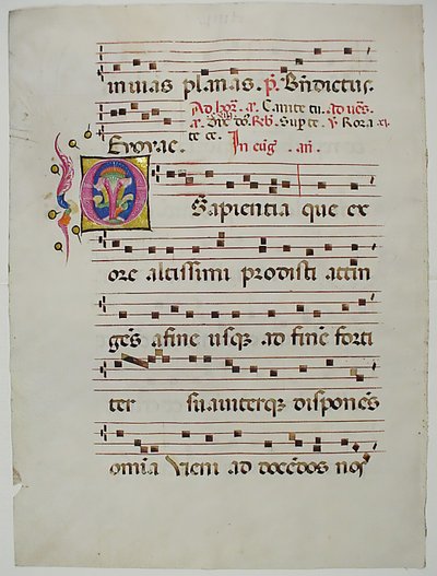 Hoja de manuscrito con Inicial O, de un Antifonario, italiano, siglo XV de Unbekannt