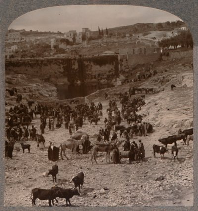 Día de mercado en el estanque de Gihon, c. 1900 de Unbekannt