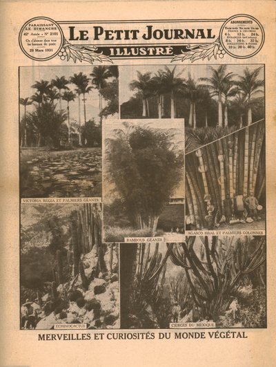 Maravillas y curiosidades del mundo vegetal, 1931 de Unbekannt