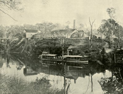 Trabajos de carne, cerca de Grafton, Nueva Gales del Sur, 1901 de Unbekannt