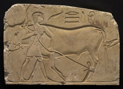 Hombres atando un buey, 667-647 a.C. de Unbekannt