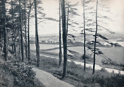 Menai - Desde Bangor Wood, 1895 de Unbekannt