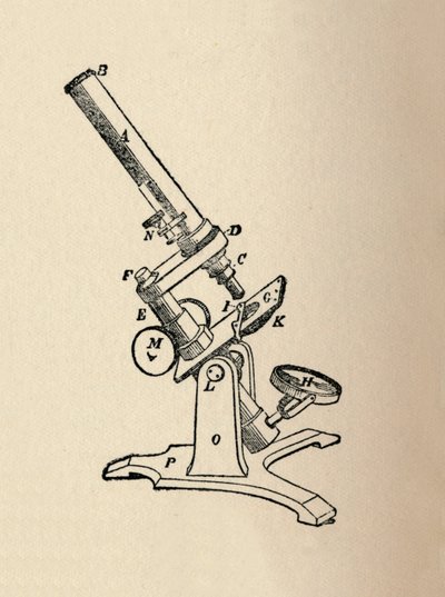 Microscopio de Unbekannt
