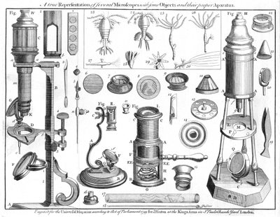 Microscopios y objetos microscópicos, 1750 de Unbekannt