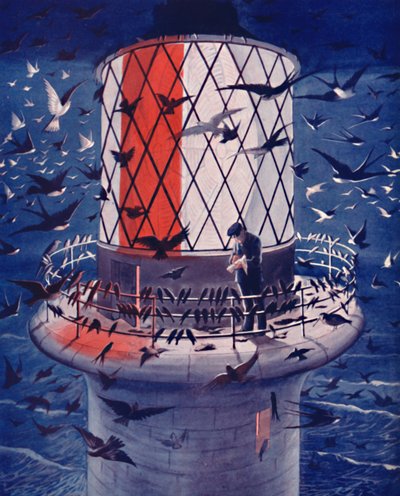 Aves migratorias visitan el faro, 1935 de Unbekannt