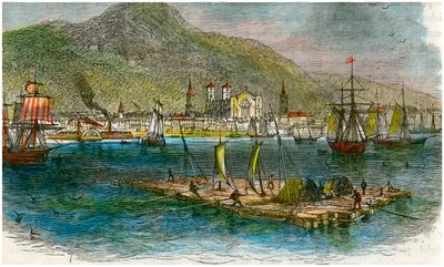 Montreal desde el río San Lorenzo, Quebec, Canadá, c. 1880 de Unbekannt