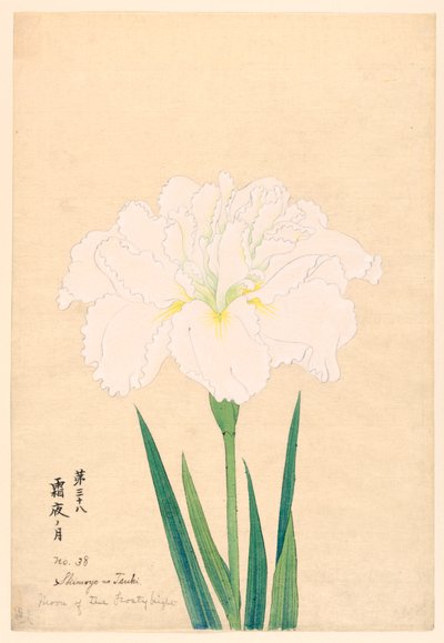 Luna de la noche helada (Shimoyo no Tsuki), No. 38, ca. 1910 de Unbekannt
