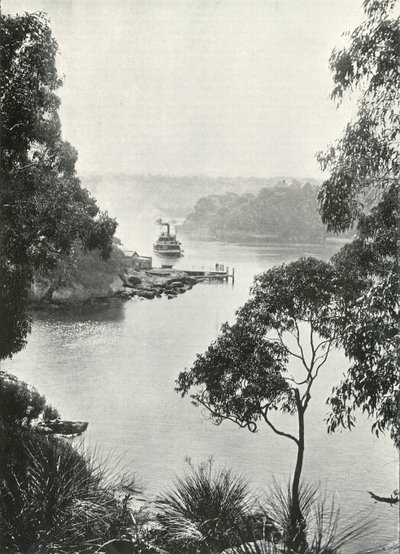 Bahía de Mosmans, desde el Embarcadero de Cremorne, c. 1900 de Unbekannt