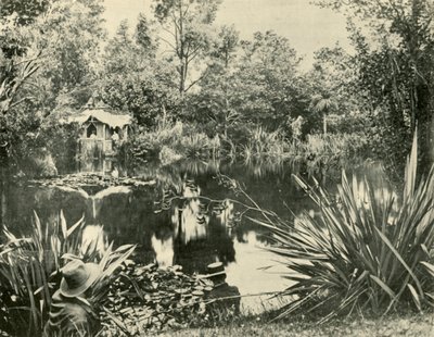 Jardines del Sr. Ryan, Monte Macedon, Victoria, 1901 de Unbekannt