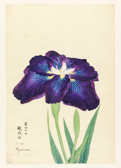 Monte Kyodai (Kyodaisan) de Unbekannt