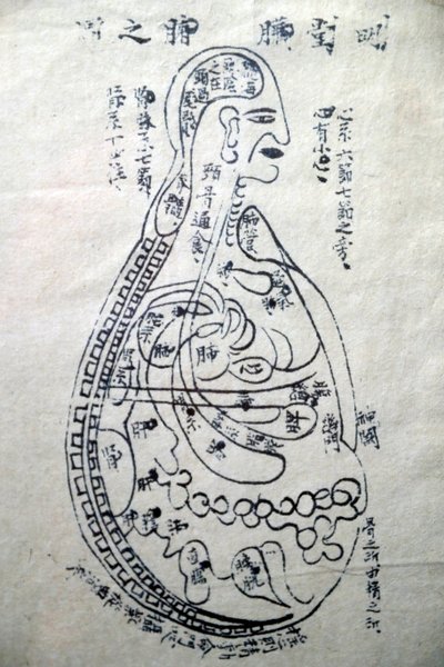 Museo de Medicina Tradicional Vietnamita, Los canales y vasos, Libro de acupuntura, Ciudad Ho Chi Minh, Vietnam de Unbekannt