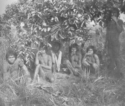 Indios Nambikwara del Estado de Mato Grosso, pacificados por el Coronel Rondon, pero aún no completamente dr de Unbekannt