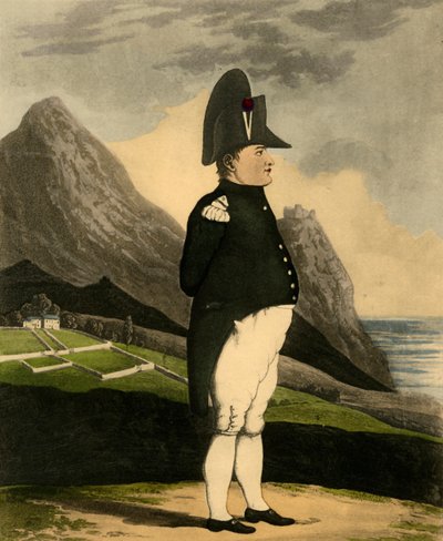 Napoleón Bonaparte, 1816 de Unbekannt