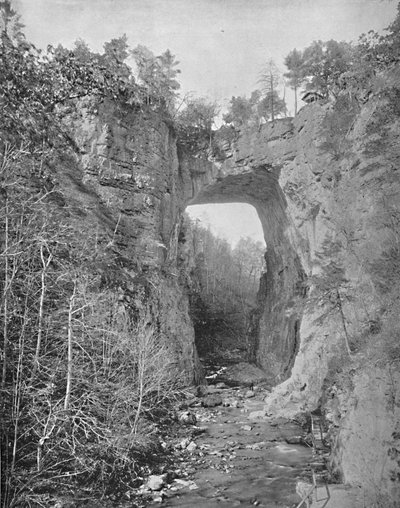 Puente Natural, Virginia, c1897 de Unbekannt