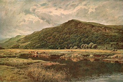 Espejo de la naturaleza, 1882, c. 1902 de Unbekannt