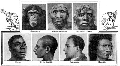 Diseños evolutivos de la naturaleza en narices, 1922 de Unbekannt