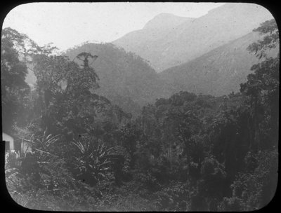 Cerca de Petrópolis, Río de Janeiro, Brasil, finales del siglo XIX o principios del siglo XX de Unbekannt