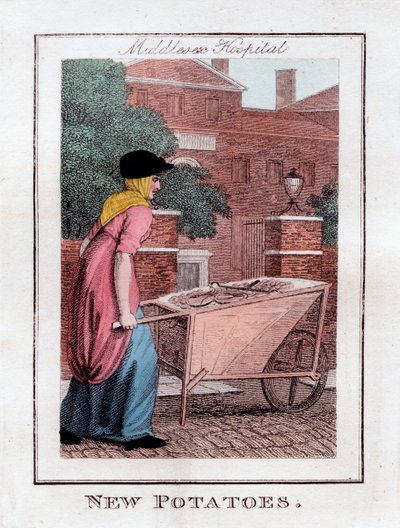 Papas Nuevas, Hospital Middlesex, Londres, 1805 de Unbekannt