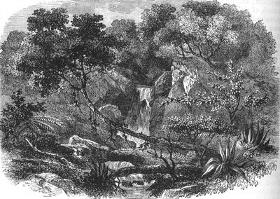 Paisaje de Nueva Zelanda, c1880 de Unbekannt