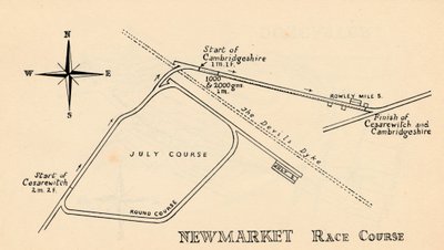 Hipódromo de Newmarket de Unbekannt