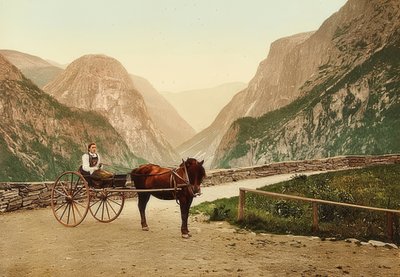Campesina noruega en un carro tirado por caballos de Unbekannt