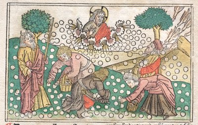 Biblia de Núremberg: Maná cayendo del cielo, 1400s de Unbekannt