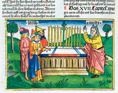 Números 17:1-11: La vara de Aarón florece en el altar de Unbekannt