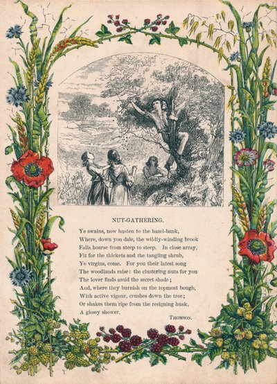 Recolección de nueces, por Thomson, c1900 de Unbekannt
