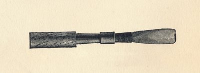 Caña de oboe, 1895 de Unbekannt