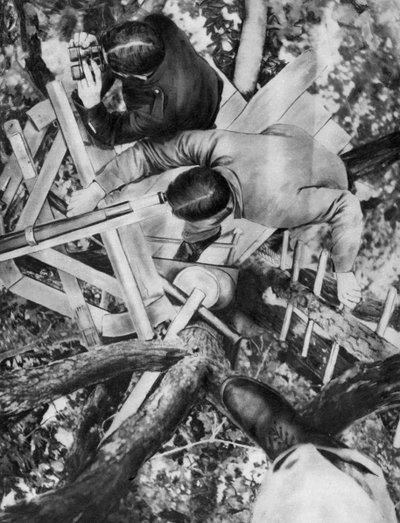 Puesto de observación en un árbol, Woevre, Francia, Primera Guerra Mundial de Unbekannt