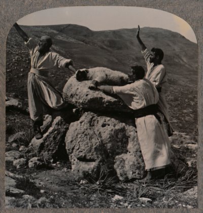 Sacrificio de cordero en el Altar, Moreh de Unbekannt