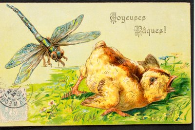 Tarjeta postal antigua/Feliz Pascua/Pollito/Libelula de Unbekannt