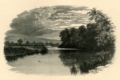 En el Avon. Strensham Reach, c1890 de Unbekannt