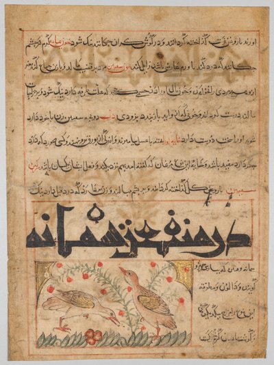 Sobre los beneficios de las codornices verso de un Manafi al-Hayawan..., c. 1300 de Unbekannt