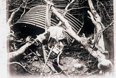 En el Chemin des Dames, norte de Francia, c1914-c1918 de Unbekannt