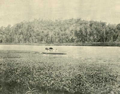 En el lago Enoggera de Unbekannt