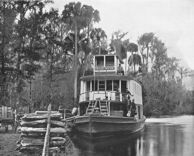 En el río Ocklawaha, Florida, EE.UU., c1900 de Unbekannt