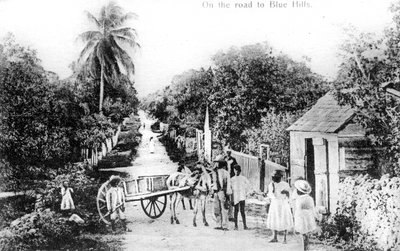 En el camino a Blue Hills, Bahamas, c1900s de Unbekannt