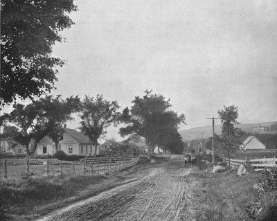 En el camino a Echo Lake, Montañas Blancas, New Hampshire, EE.UU., c1900 de Unbekannt