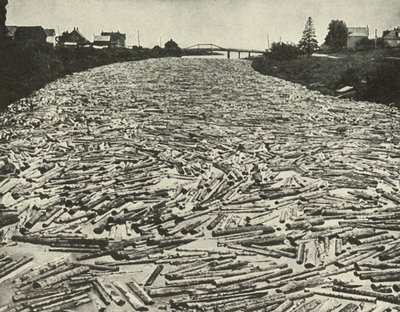 En su camino a los aserraderos, c1948 de Unbekannt