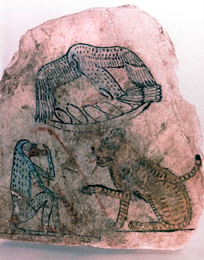 Fragmento de Ostracon, Guepardo, Pájaro y Mono, Egipto de Unbekannt