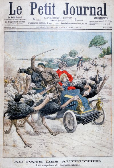 Avestruces atacando un coche, California, EE.UU., 1904 de Unbekannt