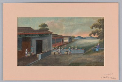 Empacando té en cofres, 1890-1910 de Unbekannt