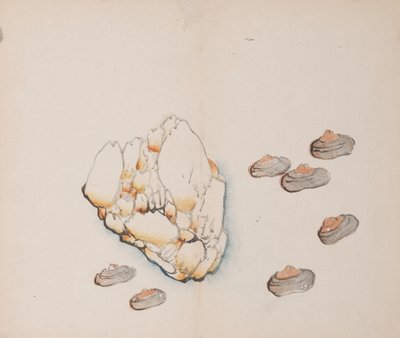 Página de Shi Zhu Zhai de Unbekannt