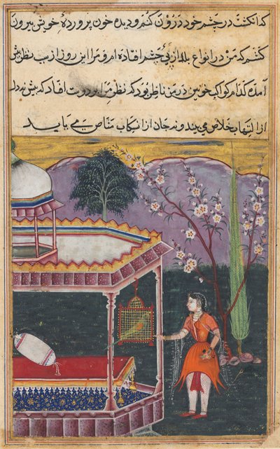 Página de Cuentos de un Loro Tuti-nama: Octava noche: El loro se dirige a Khujasta..., 1558-1560 de Unbekannt