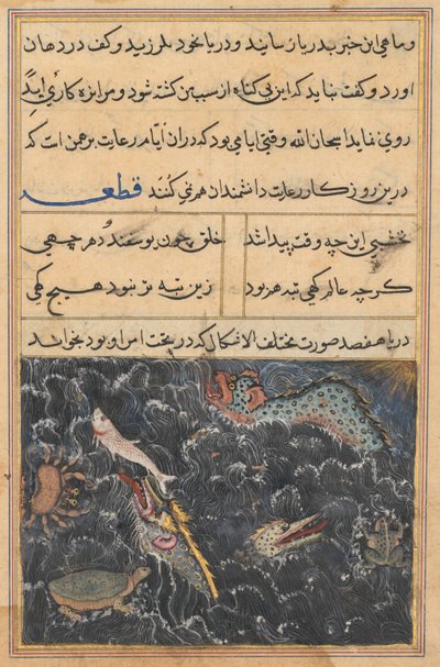 Página de Cuentos de un loro Tuti-nama: Undécima noche: Las criaturas del mar, c. 1560 de Unbekannt