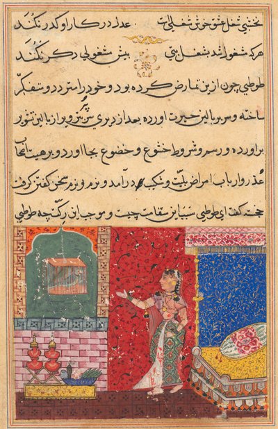 Página de Cuentos de un Loro Tuti-nama: Decimoquinta noche: El loro se dirige a Khujasta..., 1558-156 de Unbekannt